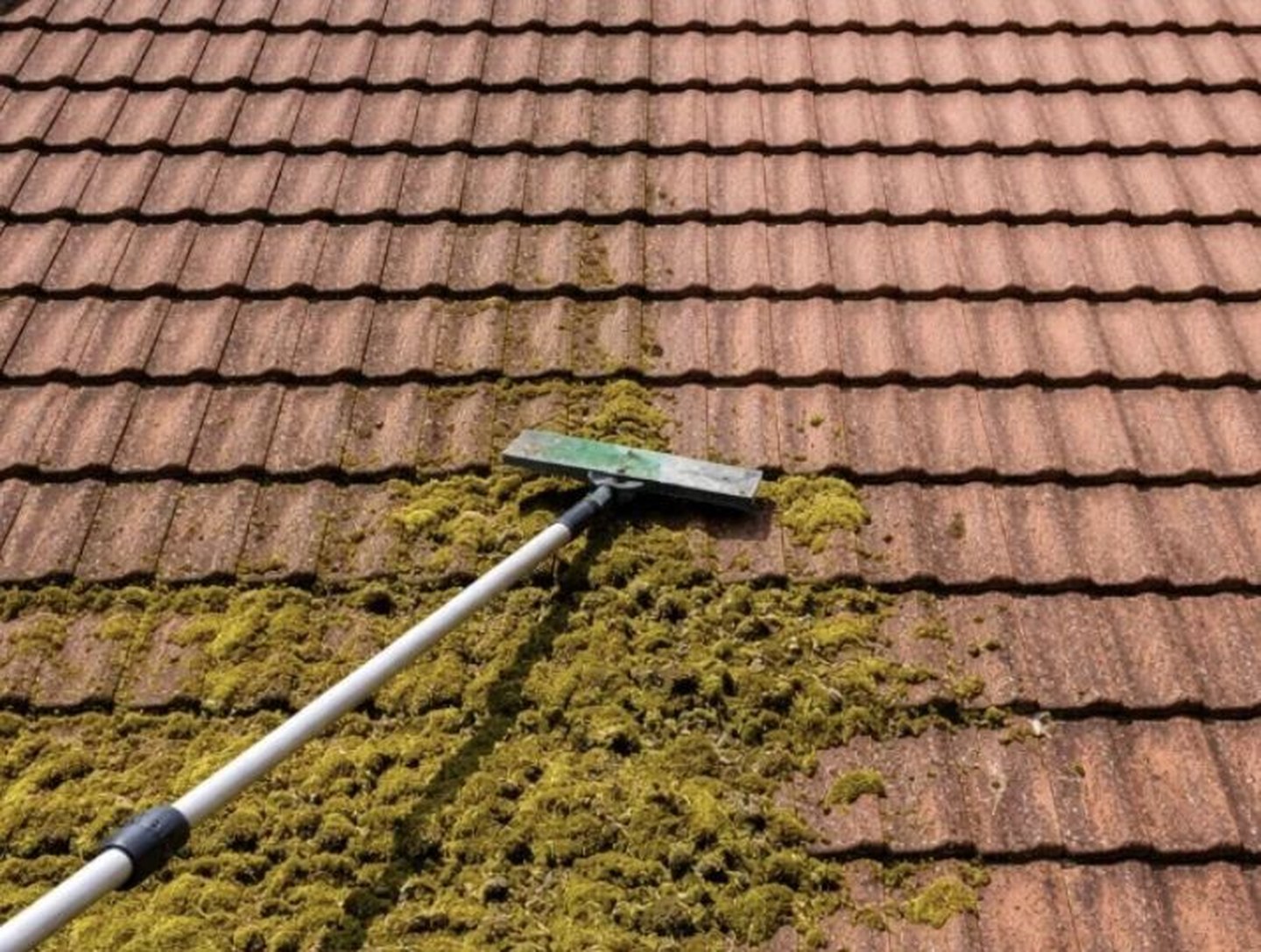 An Arcline operative soft washing a garage roof